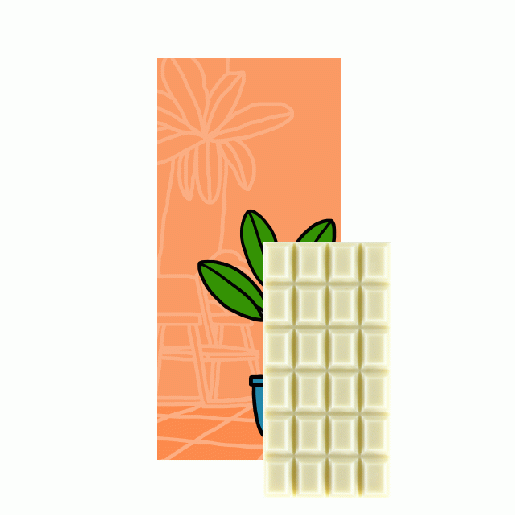 ホワイトチョコレート/ウチダカカオ(ミニサイズ)