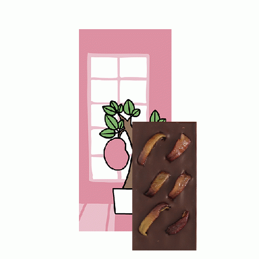 【Seasonal Tablet】島根県産神紅ぶどうのダークチョコレート(ミニサイズ)