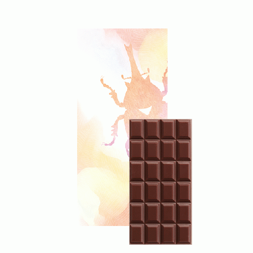 【no.74】ダークチョコレート70%(ミニサイズ)