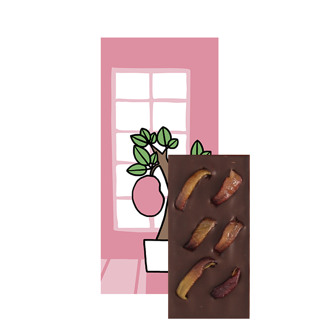 【Seasonal Tablet】島根県産神紅ぶどうのダークチョコレート（ミニサイズ）