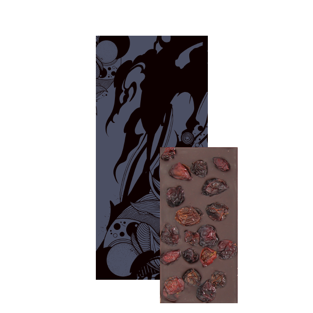 【Seasonal Tablet】出雲産デラウェアのダークチョコレート（ミニサイズ）